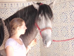 Clara Maria Schubert cavaleira dressage ensino amazona biografia lusitano cavalo harmonia equestre treino cavalo lusitano desbaste vila franca de xira portugal
