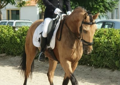 Clara Maria Schubert cavaleira, cavalo, portugal, vila franca de xira, vila franca, prova, competição, dressurturnier, competition, dressage competition, claro, clara, franz schubert, clara schumann, ensino, österreich, reiten, montar, AAP, Associação de Amazonas de Portugal, FENA, FEP, dressage, amazona, amazonas, amazonia, side saddle, damensattel, dressur, turnier, reiterin, dressurreiterin, clara maria schubert, austria, ribatejo, pferd, pferde, lusitano, lusitanos, psl, training, desbaste, ensinar, treino, em harmonia com os cavalos, harmony, harmonie, lusitano horse, lusitano pferd, Grand Prix, Grande Premio, Grande Prémio, cavaleira profissional, Profireiterin, Profi, Beritt, Damensattelverein, Damensattel verein, Damensitz