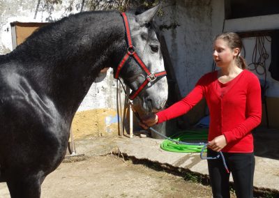 Clara Maria Schubert cavaleira, cavalo, portugal, vila franca de xira, vila franca, prova, competição, dressurturnier, competition, dressage competition, claro, clara, franz schubert, clara schumann, ensino, österreich, reiten, montar, AAP, Associação de Amazonas de Portugal, FENA, FEP, dressage, amazona, amazonas, amazonia, side saddle, damensattel, dressur, turnier, reiterin, dressurreiterin, clara maria schubert, austria, ribatejo, pferd, pferde, lusitano, lusitanos, psl, training, desbaste, ensinar, treino, em harmonia com os cavalos, harmony, harmonie, lusitano horse, lusitano pferd, Grand Prix, Grande Premio, Grande Prémio, cavaleira profissional, Profireiterin, Profi, Beritt, Damensattelverein, Damensattel verein, Damensitz, Sisi, Sissi, coudelaria, coudelaria montejunto, montejunto, serra montejunto, alenquer, starting young horse, anreiten, Ferraz da Costa, Pedro Ferraz da Costa
