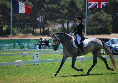 Clara Maria Schubert cavaleira, cavalo, portugal, vila franca de xira, vila franca, prova, competição, dressurturnier, competition, dressage competition, claro, clara, franz schubert, clara schumann, ensino, österreich, reiten, montar, AAP, Associação de Amazonas de Portugal, FENA, FEP, dressage, amazona, amazonas, amazonia, side saddle, damensattel, dressur, turnier, reiterin, dressurreiterin, clara maria schubert, austria, ribatejo, pferd, pferde, lusitano, lusitanos, psl, training, desbaste, ensinar, treino, em harmonia com os cavalos, harmony, harmonie, lusitano horse, lusitano pferd, Grand Prix, Grande Premio, Grande Prémio, cavaleira profissional, Profireiterin, Profi, Beritt, Damensattelverein, Damensattel verein, Damensitz, Sisi, Sissi,