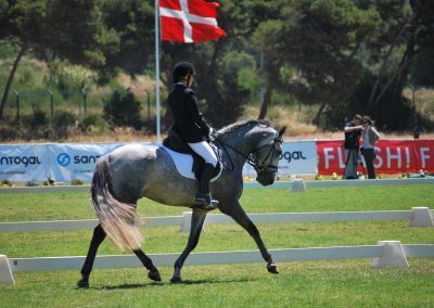 Clara Maria Schubert cavaleira, cavalo, portugal, fete imperiale, spanische hofreitschule, spanish riding school, wien, viena, vienna, escola espanhola de viena, Piber, Gestüt, Lipizzaner, Lipica, Spanische Reitschule, vila franca de xira, vila franca, prova, competição, dressurturnier, competition, dressage competition, claro, clara, franz schubert, clara schumann, ensino, österreich, reiten, montar, AAP, Associação de Amazonas de Portugal, FENA, FEP, dressage, amazona, amazonas, amazonia, side saddle, damensattel, dressur, turnier, reiterin, dressurreiterin, clara maria schubert, austria, ribatejo, pferd, pferde, lusitano, lusitanos, psl, training, desbaste, ensinar, treino, em harmonia com os cavalos, harmony, harmonie, lusitano horse, lusitano pferd, Grand Prix, Grande Premio, Grande Prémio, cavaleira profissional, Profireiterin, Profi, Beritt, Damensattelverein, Damensattel verein, Damensitz, Sisi, Sissi,