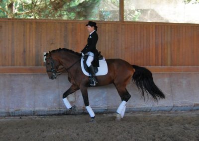 Clara Maria Schubert cavaleira, cavalo, portugal, vila franca de xira, vila franca, prova, competição, dressurturnier, competition, dressage competition, claro, clara, franz schubert, clara schumann, ensino, österreich, reiten, montar, AAP, Associação de Amazonas de Portugal, FENA, FEP, dressage, amazona, amazonas, amazonia, side saddle, damensattel, dressur, turnier, reiterin, dressurreiterin, clara maria schubert, austria, ribatejo, pferd, pferde, lusitano, lusitanos, psl, training, desbaste, ensinar, treino, em harmonia com os cavalos, harmony, harmonie, lusitano horse, lusitano pferd, Grand Prix, Grande Premio, Grande Prémio, cavaleira profissional, Profireiterin, Profi, Beritt, Damensattelverein, Damensattel verein, Damensitz