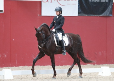 Clara Maria Schubert cavaleira, cavalo, portugal, vila franca de xira, vila franca, prova, competição, dressurturnier, competition, dressage competition, claro, clara, franz schubert, clara schumann, ensino, österreich, reiten, montar, AAP, Associação de Amazonas de Portugal, FENA, FEP, dressage, amazona, amazonas, amazonia, side saddle, damensattel, dressur, turnier, reiterin, dressurreiterin, clara maria schubert, austria, ribatejo, pferd, pferde, lusitano, lusitanos, psl, training, desbaste, ensinar, treino, em harmonia com os cavalos, harmony, harmonie, lusitano horse, lusitano pferd, Grand Prix, Grande Premio, Grande Prémio, cavaleira profissional, Profireiterin, Profi, Beritt, Damensattelverein, Damensattel verein, Damensitz