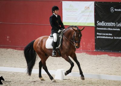 Clara Maria Schubert cavaleira, cavalo, portugal, vila franca de xira, vila franca, prova, competição, dressurturnier, competition, dressage competition, claro, clara, franz schubert, clara schumann, ensino, österreich, reiten, montar, AAP, Associação de Amazonas de Portugal, FENA, FEP, dressage, amazona, amazonas, amazonia, side saddle, damensattel, dressur, turnier, reiterin, dressurreiterin, clara maria schubert, austria, ribatejo, pferd, pferde, lusitano, lusitanos, psl, training, desbaste, ensinar, treino, em harmonia com os cavalos, harmony, harmonie, lusitano horse, lusitano pferd, Grand Prix, Grande Premio, Grande Prémio, cavaleira profissional, Profireiterin, Profi, Beritt, Damensattelverein, Damensattel verein, Damensitz, Sisi, Sissi,