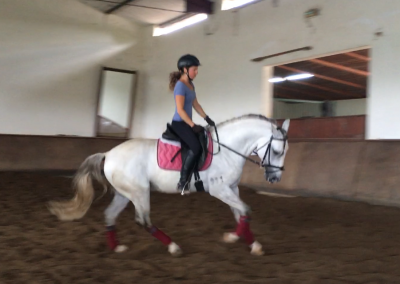 cavaleira, cavalo, portugal, vila franca de xira, vila franca, prova, competição, dressurturnier, competition, dressage competition, claro, clara, franz schubert, clara schumann, ensino, österreich, reiten, montar, AAP, Associação de Amazonas de Portugal, FENA, FEP, dressage, amazona, amazonas, amazonia, side saddle, damensattel, dressur, turnier, reiterin, dressurreiterin, clara maria schubert, austria, ribatejo, pferd, pferde, lusitano, lusitanos, psl, training, desbaste, ensinar, treino, em harmonia com os cavalos, harmony, harmonie, lusitano horse, lusitano pferd, Grand Prix, Grande Premio, Grande Prémio, cavaleira profissional, Profireiterin, Profi, Beritt