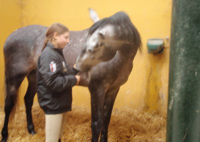 Clara Maria Schubert cavaleira, cavalo, portugal, vila franca de xira, vila franca, prova, competição, dressurturnier, competition, dressage competition, claro, clara, franz schubert, clara schumann, ensino, österreich, reiten, montar, AAP, Associação de Amazonas de Portugal, FENA, FEP, dressage, amazona, amazonas, amazonia, side saddle, damensattel, dressur, turnier, reiterin, dressurreiterin, clara maria schubert, austria, ribatejo, pferd, pferde, lusitano, lusitanos, psl, training, desbaste, ensinar, treino, em harmonia com os cavalos, harmony, harmonie, lusitano horse, lusitano pferd, Grand Prix, Grande Premio, Grande Prémio, cavaleira profissional, Profireiterin, Profi, Beritt, Damensattelverein, Damensattel verein, Damensitz, Sisi, Sissi, coudelaria, coudelaria montejunto, montejunto, serra montejunto, alenquer, starting young horse, anreiten, Ferraz da Costa, Pedro Ferraz da Costa