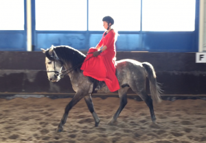 cavaleira, cavalo,fete imperiale, spanische hofreitschule, spanish riding school, wien, viena, vienna, escola espanhola de viena, Piber, Gestüt, Lipizzaner, Lipica, portugal, vila franca de xira, vila franca, prova, competição, dressurturnier, competition, dressage competition, claro, clara, franz schubert, clara schumann, ensino, österreich, reiten, montar, AAP, Associação de Amazonas de Portugal, FENA, FEP, dressage, amazona, amazonas, amazonia, side saddle, damensattel, dressur, turnier, reiterin, dressurreiterin, clara maria schubert, austria, ribatejo, pferd, pferde, lusitano, lusitanos, psl, training, desbaste, ensinar, treino, em harmonia com os cavalos, harmony, harmonie, lusitano horse, lusitano pferd, Grand Prix, Grande Premio, Grande Prémio, cavaleira profissional, Profireiterin, Profi, Beritt
