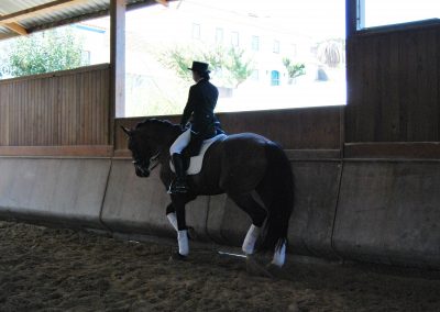 cavaleira, cavalo, portugal, vila franca de xira, vila franca, prova, competição, dressurturnier, competition, dressage competition, claro, clara, franz schubert, clara schumann, ensino, österreich, reiten, montar, AAP, Associação de Amazonas de Portugal, FENA, FEP, dressage, amazona, amazonas, amazonia, side saddle, damensattel, dressur, turnier, reiterin, dressurreiterin, clara maria schubert, austria, ribatejo, pferd, pferde, lusitano, lusitanos, psl, training, desbaste, ensinar, treino, em harmonia com os cavalos, harmony, harmonie, lusitano horse, lusitano pferd, Grand Prix, Grande Premio, Grande Prémio, cavaleira profissional, Profireiterin, Profi, Beritt