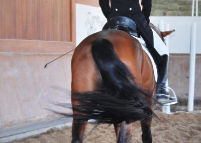cavaleira, cavalo, portugal, vila franca de xira, vila franca, prova, competição, dressurturnier, competition, dressage competition, claro, clara, franz schubert, clara schumann, ensino, österreich, reiten, montar, AAP, Associação de Amazonas de Portugal, FENA, FEP, dressage, amazona, amazonas, amazonia, side saddle, damensattel, dressur, turnier, reiterin, dressurreiterin, clara maria schubert, austria, ribatejo, pferd, pferde, lusitano, lusitanos, psl, training, desbaste, ensinar, treino, em harmonia com os cavalos, harmony, harmonie, lusitano horse, lusitano pferd, Grand Prix, Grande Premio, Grande Prémio, cavaleira profissional, Profireiterin, Profi, Beritt