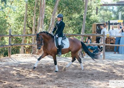 cavaleira, cavalo, portugal, vila franca de xira, vila franca, prova, competição, dressurturnier, competition, dressage competition, claro, clara, franz schubert, clara schumann, ensino, österreich, reiten, montar, AAP, Associação de Amazonas de Portugal, FENA, FEP, dressage, amazona, amazonas, amazonia, side saddle, damensattel, dressur, turnier, reiterin, dressurreiterin, clara maria schubert, austria, ribatejo, pferd, pferde, lusitano, lusitanos, psl, training, desbaste, ensinar, treino, em harmonia com os cavalos, harmony, harmonie, lusitano horse, lusitano pferd, Grand Prix, Grande Premio, Grande Prémio, cavaleira profissional, Profireiterin, Profi, Beritt, pferdefreundlich, Santarém, Golega, pferdeverkauf, lusitanoverkauf, verkauf, traumlusitano