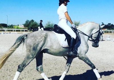 cavaleira, cavalo, portugal, vila franca de xira, vila franca, prova, competição, dressurturnier, competition, dressage competition, claro, clara, franz schubert, clara schumann, ensino, österreich, reiten, montar, AAP, Associação de Amazonas de Portugal, FENA, FEP, dressage, amazona, amazonas, amazonia, side saddle, damensattel, dressur, turnier, reiterin, dressurreiterin, clara maria schubert, austria, ribatejo, pferd, pferde, lusitano, lusitanos, psl, training, desbaste, ensinar, treino, em harmonia com os cavalos, harmony, harmonie, lusitano horse, lusitano pferd, Grand Prix, Grande Premio, Grande Prémio, cavaleira profissional, Profireiterin, Profi, Beritt, pferdefreundlich, Santarém, Golega, pferdeverkauf, lusitanoverkauf, verkauf, traumlusitano