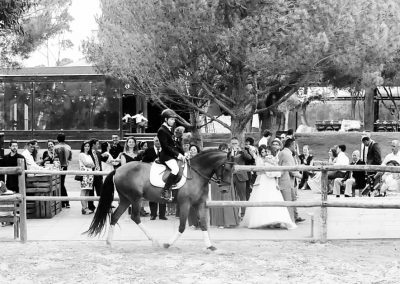 cavaleira, cavalo, portugal, vila franca de xira, vila franca, prova, competição, dressurturnier, competition, dressage competition, claro, clara, franz schubert, clara schumann, ensino, österreich, reiten, montar, AAP, Associação de Amazonas de Portugal, FENA, FEP, dressage, amazona, amazonas, amazonia, side saddle, damensattel, dressur, turnier, reiterin, dressurreiterin, clara maria schubert, austria, ribatejo, pferd, pferde, lusitano, lusitanos, psl, training, desbaste, ensinar, treino, em harmonia com os cavalos, harmony, harmonie, lusitano horse, lusitano pferd, Grand Prix, Grande Premio, Grande Prémio, cavaleira profissional, Profireiterin, Profi, Beritt, pferdefreundlich, Santarém, Golega, pferdeverkauf, lusitanoverkauf, verkauf, traumlusitano