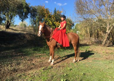 cavaleira, cavalo, portugal, vila franca de xira, vila franca, prova, competição, dressurturnier, competition, dressage competition, claro, clara, franz schubert, clara schumann, ensino, österreich, reiten, montar, AAP, Associação de Amazonas de Portugal, FENA, FEP, dressage, amazona, amazonas, amazonia, side saddle, damensattel, dressur, turnier, reiterin, dressurreiterin, clara maria schubert, austria, ribatejo, pferd, pferde, lusitano, lusitanos, psl, training, desbaste, ensinar, treino, em harmonia com os cavalos, harmony, harmonie, lusitano horse, lusitano pferd, Grand Prix, Grande Premio, Grande Prémio, cavaleira profissional, Profireiterin, Profi, Beritt, pferdefreundlich, Santarém, Golega, pferdeverkauf, lusitanoverkauf, verkauf, traumlusitano