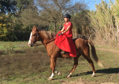 cavaleira, cavalo, portugal, vila franca de xira, vila franca, prova, competição, dressurturnier, competition, dressage competition, claro, clara, franz schubert, clara schumann, ensino, österreich, reiten, montar, AAP, Associação de Amazonas de Portugal, FENA, FEP, dressage, amazona, amazonas, amazonia, side saddle, damensattel, dressur, turnier, reiterin, dressurreiterin, clara maria schubert, austria, ribatejo, pferd, pferde, lusitano, lusitanos, psl, training, desbaste, ensinar, treino, em harmonia com os cavalos, harmony, harmonie, lusitano horse, lusitano pferd, Grand Prix, Grande Premio, Grande Prémio, cavaleira profissional, Profireiterin, Profi, Beritt, pferdefreundlich, Santarém, Golega, pferdeverkauf, lusitanoverkauf, verkauf, traumlusitano