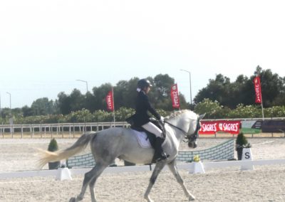 cavaleira, cavalo, portugal, vila franca de xira, vila franca, prova, competição, dressurturnier, competition, dressage competition, claro, clara, franz schubert, clara schumann, ensino, österreich, reiten, montar, AAP, Associação de Amazonas de Portugal, FENA, FEP, dressage, amazona, amazonas, amazonia, side saddle, damensattel, dressur, turnier, reiterin, dressurreiterin, clara maria schubert, austria, ribatejo, pferd, pferde, lusitano, lusitanos, psl, training, desbaste, ensinar, treino, em harmonia com os cavalos, harmony, harmonie, lusitano horse, lusitano pferd, Grand Prix, Grande Premio, Grande Prémio, cavaleira profissional, Profireiterin, Profi, Beritt, pferdefreundlich, Santarém, Golega, pferdeverkauf, lusitanoverkauf, verkauf, traumlusitano