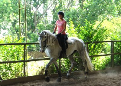cavaleira, cavalo, portugal, vila franca de xira, vila franca, prova, competição, dressurturnier, competition, dressage competition, claro, clara, franz schubert, clara schumann, ensino, österreich, reiten, montar, AAP, Associação de Amazonas de Portugal, FENA, FEP, dressage, amazona, amazonas, amazonia, side saddle, damensattel, dressur, turnier, reiterin, dressurreiterin, clara maria schubert, austria, ribatejo, pferd, pferde, lusitano, lusitanos, psl, training, desbaste, ensinar, treino, em harmonia com os cavalos, harmony, harmonie, lusitano horse, lusitano pferd, Grand Prix, Grande Premio, Grande Prémio, cavaleira profissional, Profireiterin, Profi, Beritt, pferdefreundlich, Santarém, Golega, pferdeverkauf, lusitanoverkauf, verkauf, traumlusitano