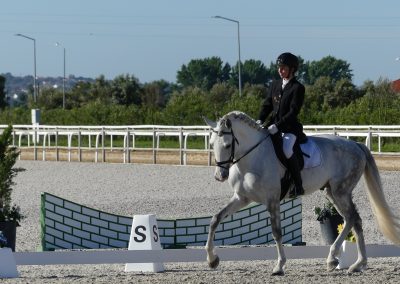 cavaleira, cavalo, portugal, vila franca de xira, vila franca, prova, competição, dressurturnier, competition, dressage competition, claro, clara, franz schubert, clara schumann, ensino, österreich, reiten, montar, AAP, Associação de Amazonas de Portugal, FENA, FEP, dressage, amazona, amazonas, amazonia, side saddle, damensattel, dressur, turnier, reiterin, dressurreiterin, clara maria schubert, austria, ribatejo, pferd, pferde, lusitano, lusitanos, psl, training, desbaste, ensinar, treino, em harmonia com os cavalos, harmony, harmonie, lusitano horse, lusitano pferd, Grand Prix, Grande Premio, Grande Prémio, cavaleira profissional, Profireiterin, Profi, Beritt, pferdefreundlich, Santarém, Golega, pferdeverkauf, lusitanoverkauf, verkauf, traumlusitano