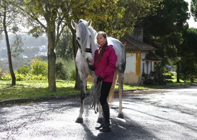 cavaleira, cavalo, portugal, vila franca de xira, vila franca, prova, competição, dressurturnier, competition, dressage competition, claro, clara, franz schubert, clara schumann, ensino, österreich, reiten, montar, AAP, Associação de Amazonas de Portugal, FENA, FEP, dressage, amazona, amazonas, amazonia, side saddle, damensattel, dressur, turnier, reiterin, dressurreiterin, clara maria schubert, austria, ribatejo, pferd, pferde, lusitano, lusitanos, psl, training, desbaste, ensinar, treino, em harmonia com os cavalos, harmony, harmonie, lusitano horse, lusitano pferd, Grand Prix, Grande Premio, Grande Prémio, cavaleira profissional, Profireiterin, Profi, Beritt, pferdefreundlich, Santarém, Golega, pferdeverkauf, lusitanoverkauf, verkauf, traumlusitano